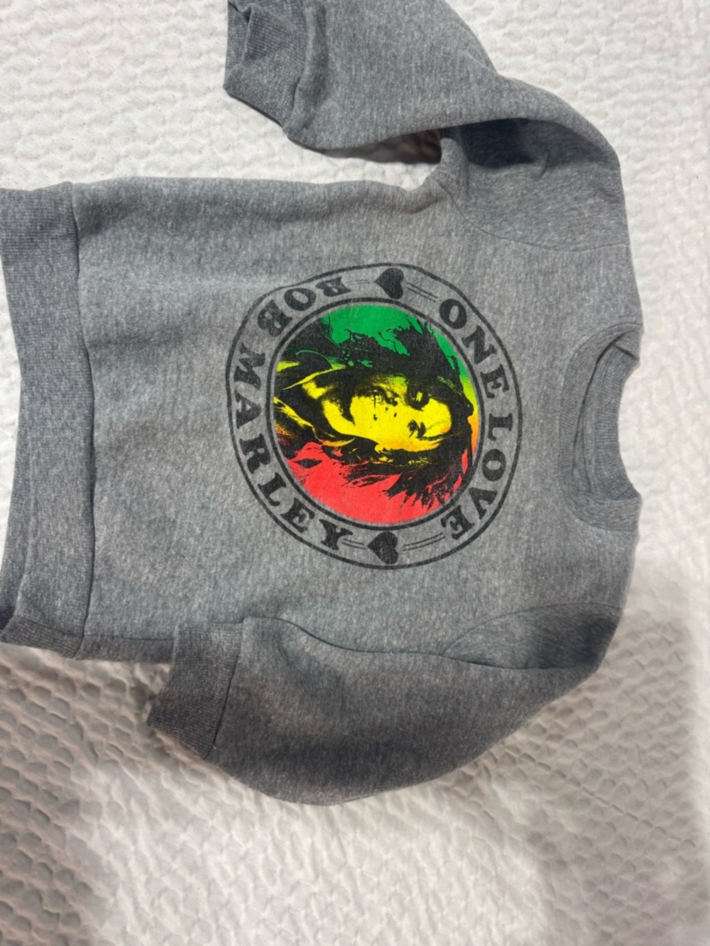 Zion Rootswear Gray Kids Sweatshirt with Red Yellow Green Bob Marley Graphic